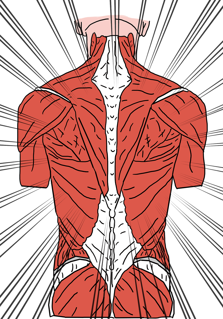How To Stay Positive And Motivated While Battling Disc Protrusion