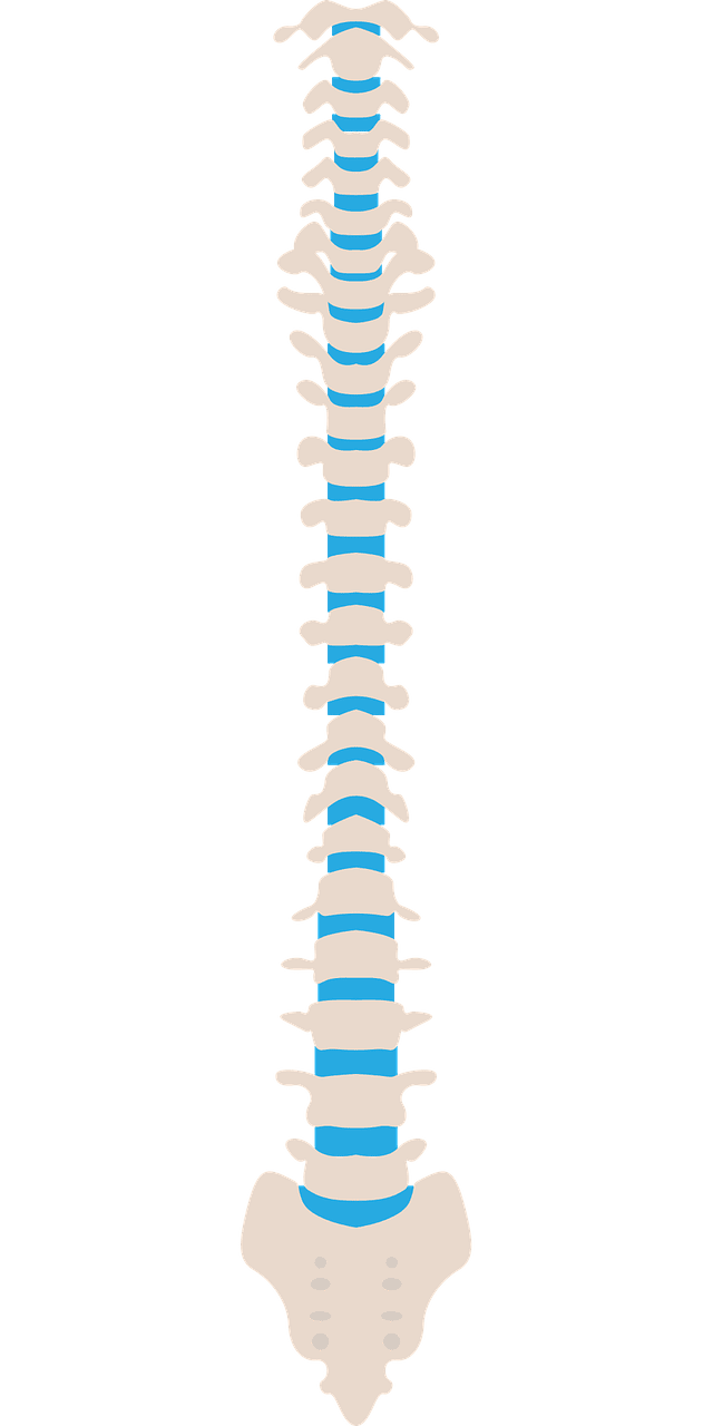 Common Myths About Disc Protrusion Treatment Debunked