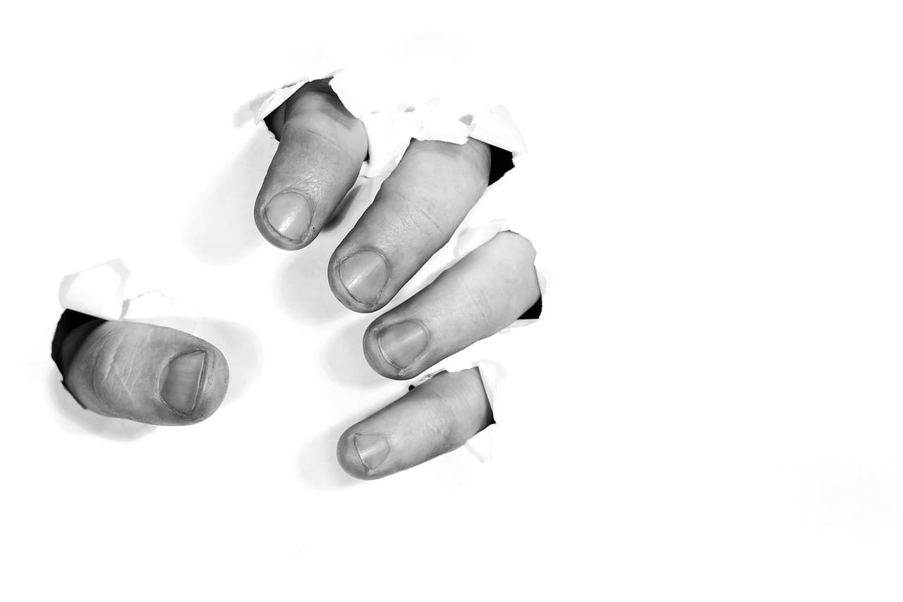 Preventing Disc Protrusion: Tips For Home Maintenance