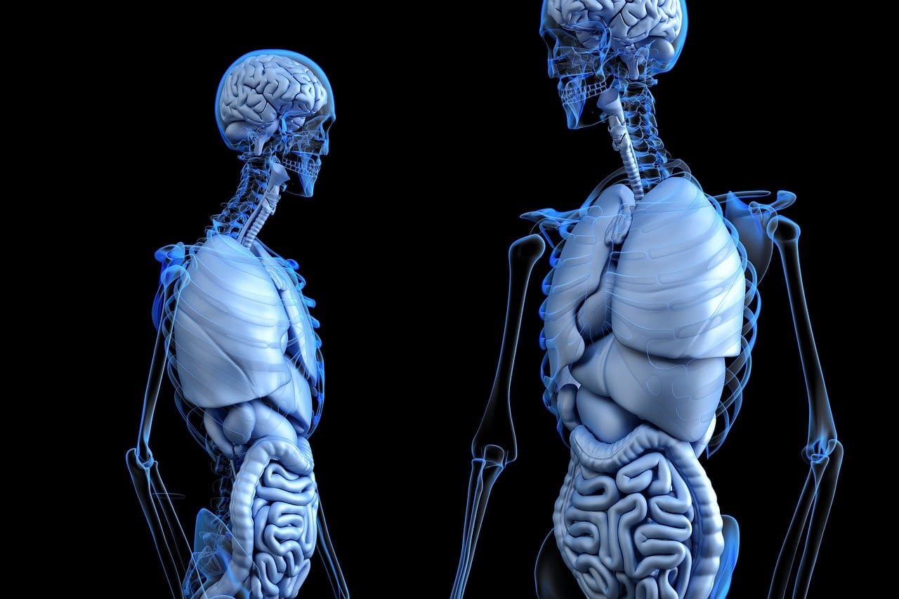 Understanding The Anatomy Of The Spine