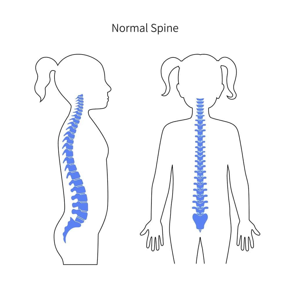 Best Ways To Keep Your Spine Healthy And Discs Intact Best Ways To Keep Your Spine Healthy And Discs Intact